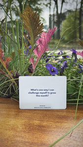 Radical Reflection Card Deck: The Self-Knowing Edition